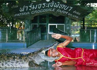 مزرعه کروکودیل ها مزرعه کروکودیل ها