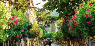 جزایر پرنس جزایر پرنس