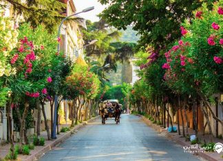 جزایر پرنس جزایر پرنس