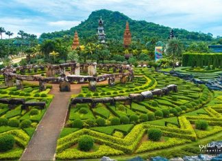 باغ گیاهشناسی نانگ نوچ پاتایا باغ گیاهشناسی نانگ نوچ پاتایا