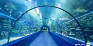 آکواریوم آنتالیا آکواریوم آنتالیا