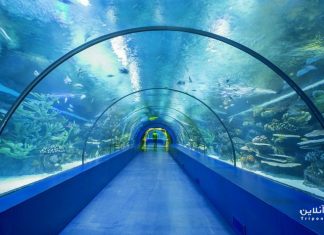 آکواریوم آنتالیا آکواریوم آنتالیا