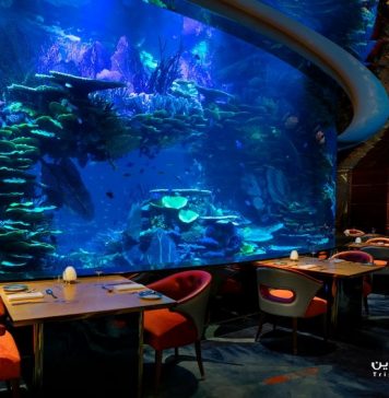 رستوران المحاره رستوران المحاره