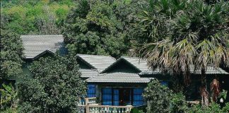 Royal Crown hotel هتل رویال کراون پوکت