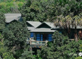 Royal Crown hotel هتل رویال کراون پوکت