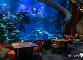 بهترین رستوران های دبی بهترین رستوران های دبی