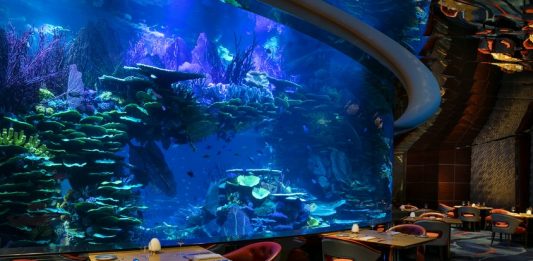 بهترین رستوران های دبی بهترین رستوران های دبی