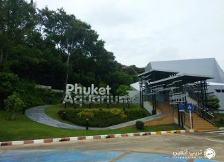 آکواریوم پوکت آکواریوم پوکت