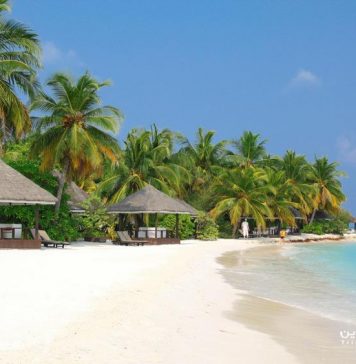Kihaa Maldives Island Resort & Spa هتل کیها مالدیو آیلند ریزورت اند اسپا