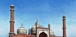 مسجد جامع دهلی نو مسجد جامع دهلی نو