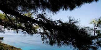 پارک ملی شبه جزیره دیلک پارک ملی دیلک در کوش آداسی