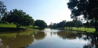 دریاچه مک ریچی دریاچه مک ریچی سنگاپور