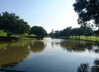 دریاچه مک ریچی دریاچه مک ریچی سنگاپور