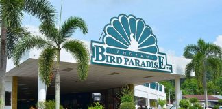 بهشت پرندگان لنکاوی بهشت پرندگان لنکاوی