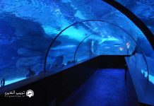 معرفی آکواریوم آکوا وگا از جاذبه های آنکارا آکواریوم آکوا وگا