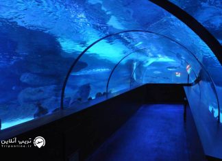 معرفی آکواریوم آکوا وگا از جاذبه های آنکارا آکواریوم آکوا وگا