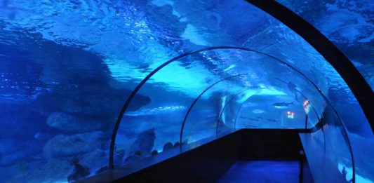 معرفی آکواریوم آکوا وگا از جاذبه های آنکارا آکواریوم آکوا وگا