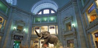 معرفی موزه ملی مالدیو موزه ملی مالدیو