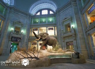 معرفی موزه ملی مالدیو موزه ملی مالدیو