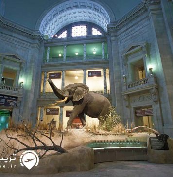 معرفی موزه ملی مالدیو موزه ملی مالدیو