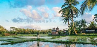 تور بالی ۲۷ اسفند ۹۷ تور بالی