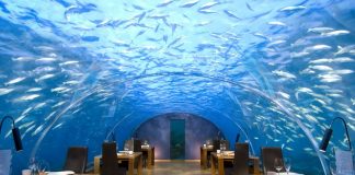 رستوران زیر دریایی ایتا رستوران ایتا مالدیو