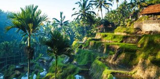 تور بالی نوروز ۹۸ تور بالی