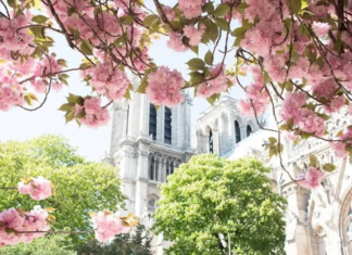 رمانتیک ترین مکان های دنیا!