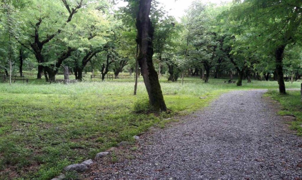 پارک جنگلی سرخه حصار