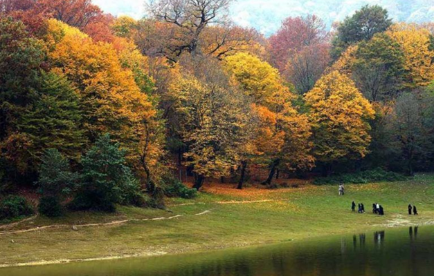 تصویر دریاچه جنگل النگدره