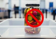 قوانین بردن ترشی در هواپیما؛ کابین یا قسمت بار؟ راهنمای کامل قوانین بردن ترشی در هواپیما