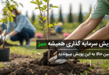 حرکتی بیسابقه از سی بی اف؛ ثبت اعتماد در دل طبیعت ایران | فروردین ۱۴۰۴