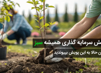 حرکتی بیسابقه از سی بی اف؛ ثبت اعتماد در دل طبیعت ایران | فروردین ۱۴۰۴