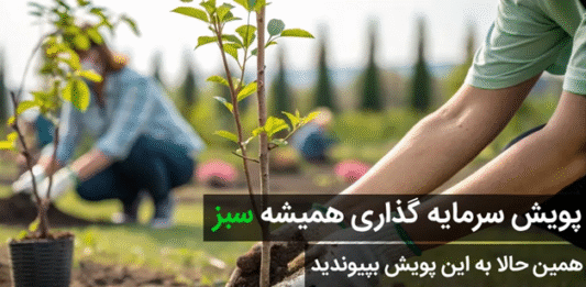 حرکتی بیسابقه از سی بی اف؛ ثبت اعتماد در دل طبیعت ایران | فروردین ۱۴۰۴