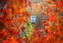 ۵ مقصد خاص برای یک آخر هفته رویایی در پاییز