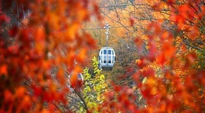 ۵ مقصد خاص برای یک آخر هفته رویایی در پاییز